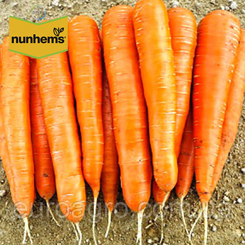 Морковь Элеганс F1 2,0-2,2 мм(100000шт)