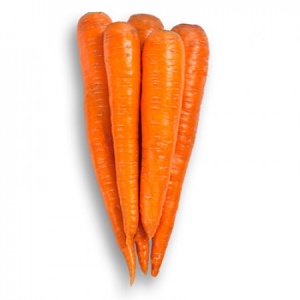 Морковь для переработки, тип Флакке Вармия F1 / 1 млн.шт. (Райк Цваан)