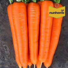 Морковь Брилианс F1 1,8-2,0 мм(1000000шт)