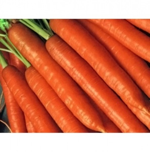 Морковь Топкат F1(1000000шт)