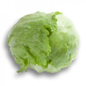 Салат айсберг (дражированные семена) Кампионас / 1 тыс.шт. (Райк Цваан)