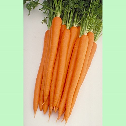 Морковь Шугеснэкс F1(1000000шт)